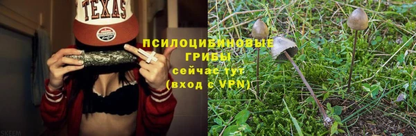 a pvp Михайловск