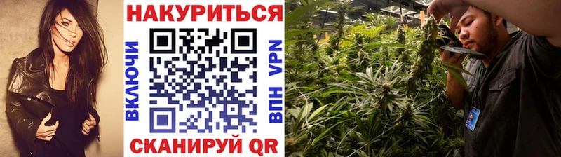 Канабис Bruce Banner  где можно купить наркотик  Чердынь 